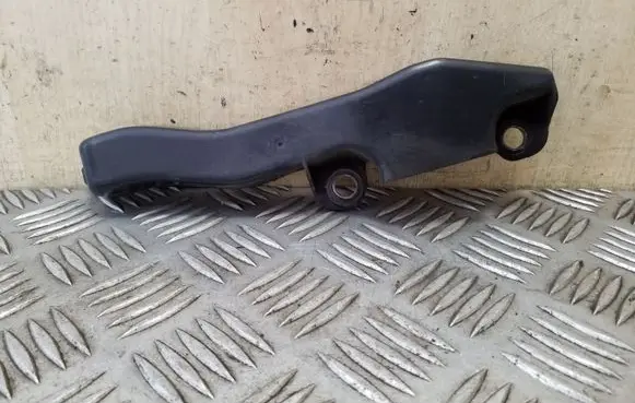 Engine bonnet/hood lock trim molding