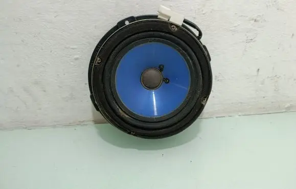 Hyundai Santa Fe Front door speaker 963002B010