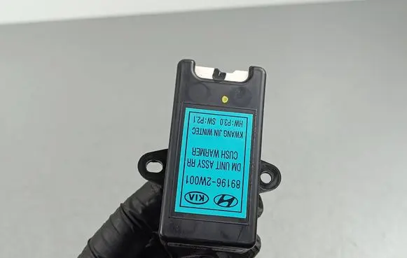 Hyundai Santa Fe Other control units/modules 891962W001