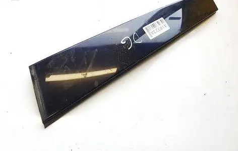 Other rear door trim element