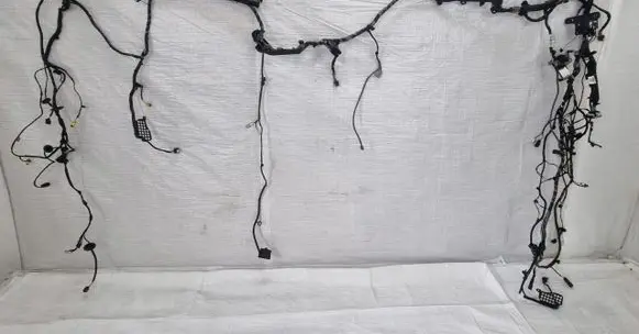 Other wiring loom