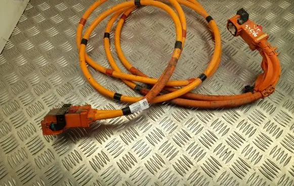 Tesla Model 3 Other wiring loom 110900300F
