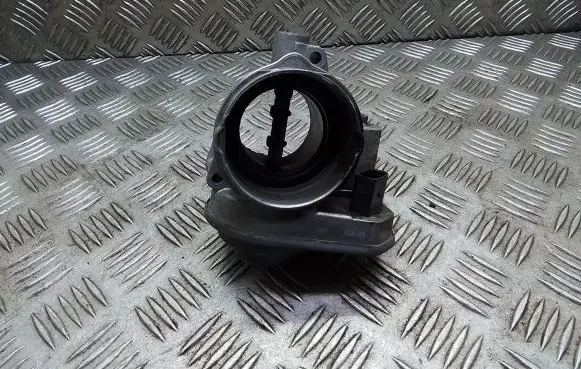 Volkswagen PASSAT B6 Throttle valve 038128063G