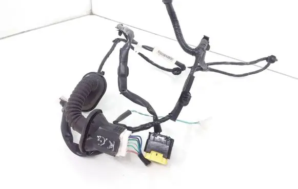 Rear door wiring loom