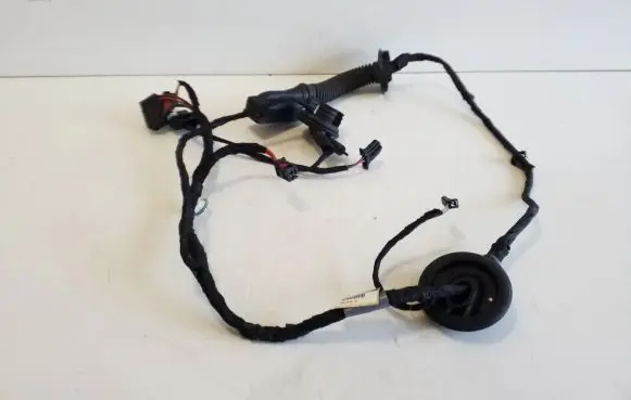Rear door wiring loom