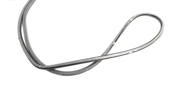 Lexus GS 300 350 430 450H Rubber seal rear door 