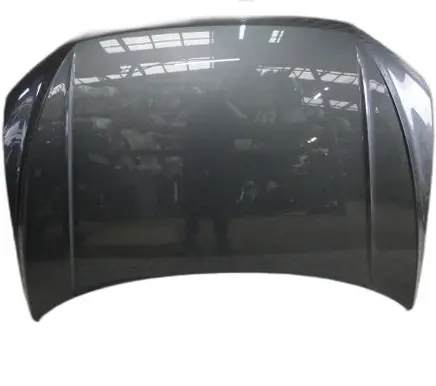 Volkswagen T-Roc Engine bonnet/hood