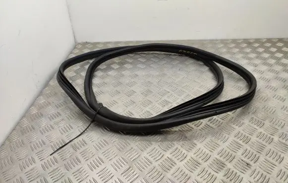 Citroen Berlingo Rear door rubber seal (on body) 