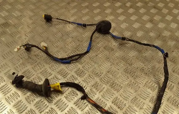 Hyundai Sonata Rear door wiring loom 919803K050