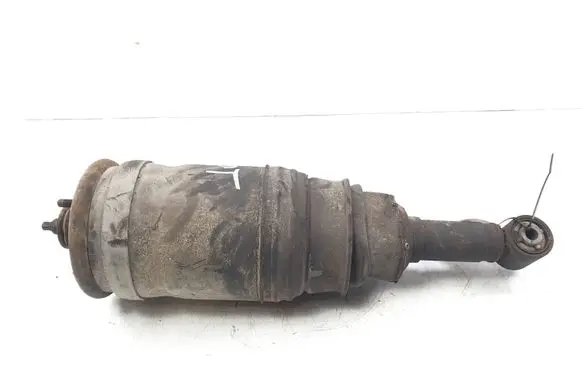 Land Rover Range Rover Sport L320 Rear shock absorber/damper 3498610