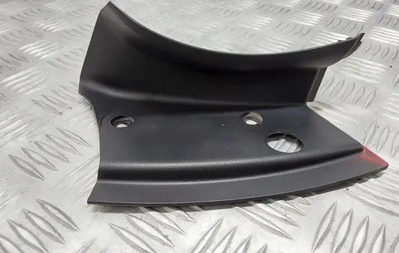 Rear/tail light trim molding
