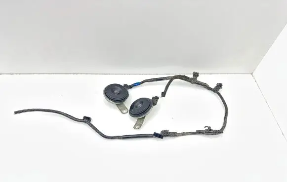 Subaru Outback (BT) Horn signal