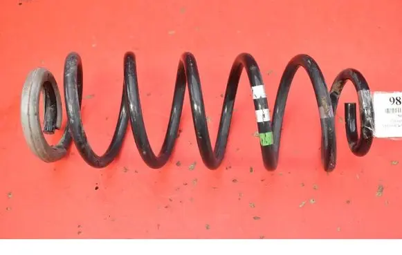 Rear coil spring