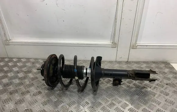 Mitsubishi Outlander Front shock absorber/damper 22172679