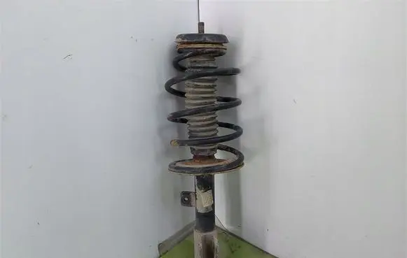 Peugeot 307 Front shock absorber with coil spring