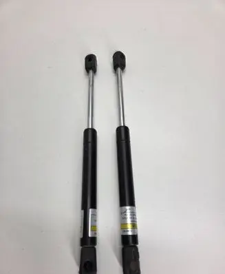Tailgate/trunk strut/damper
