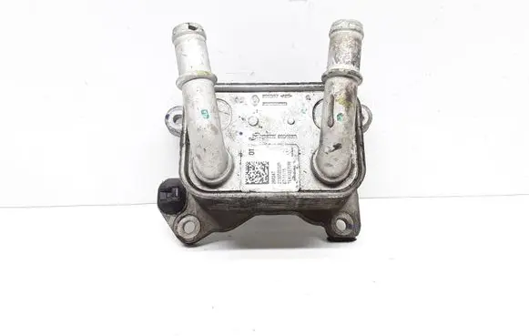 Renault Captur Engine oil radiator 213052032R