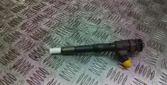Renault Kangoo II Fuel injector