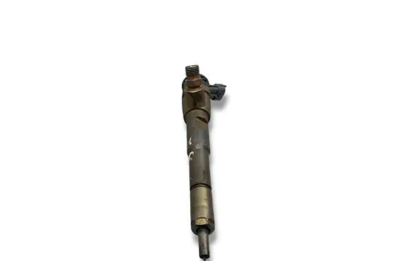 Renault Kangoo II Fuel injector 0445110485 H8201108033