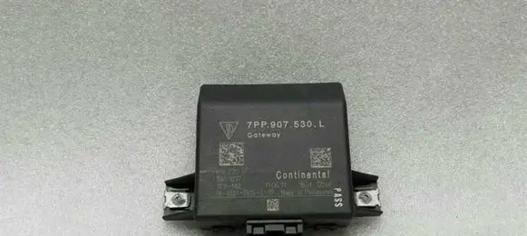 Porsche Cayenne (92A) Gateway control module 7PP907530L