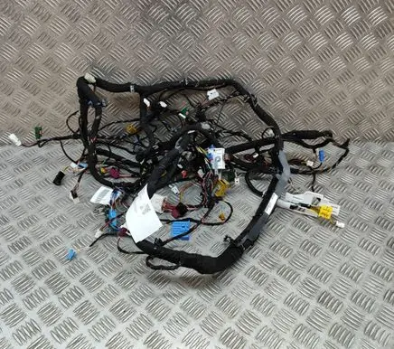 Mercedes-Benz EQE v295 Other wiring loom A2955404613 A2975400220