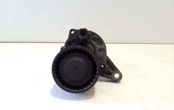 Renault Trafic III (X82) Generator/alternator belt tensioner 65632