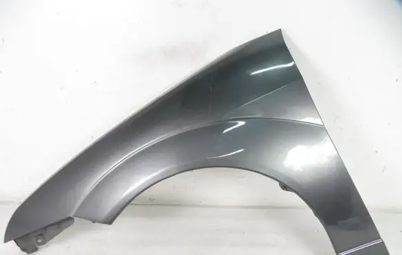 Ford Focus Fender
