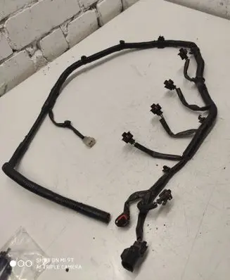 Ford Ranger Fuel injector wires 