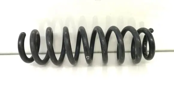 Rear coil spring