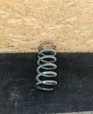 Opel Antara Rear coil spring