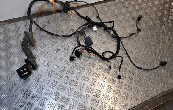 Ford Fusion II Front door wiring loom FG9T14631ACB