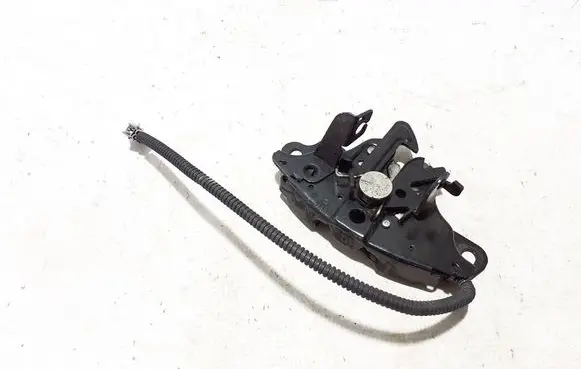 Renault Koleos II Engine bonnet (hood) release handle 656019878R