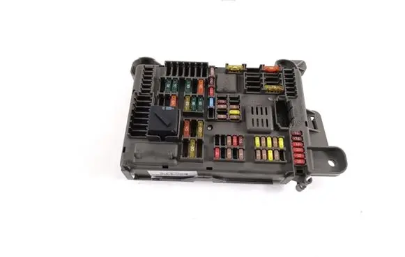 BMW X6 E71 Fuse module 518954020