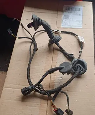 Front door wiring loom