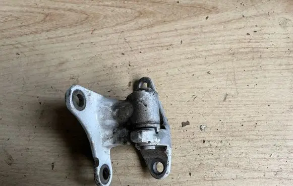 Rear door lower hinge