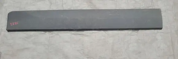 Ford Ecosport Front door trim (molding) CN1520848ACW