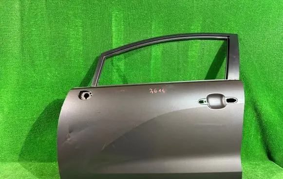 KIA Rio Front door