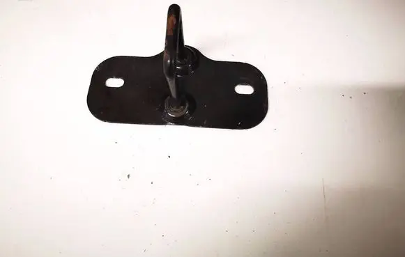 Tesla Model S Rear door lock loop/hook striker 105950700B