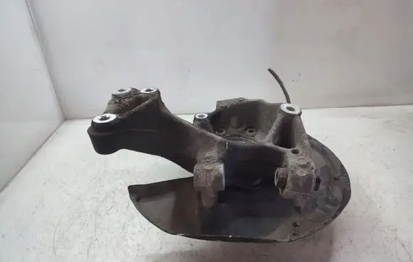 Volkswagen Tiguan Rear wheel hub