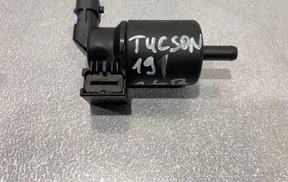 Hyundai Tucson TL Vacuum valve 289102B000