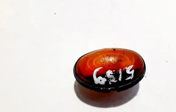 Chrysler Voyager Front fender indicator light