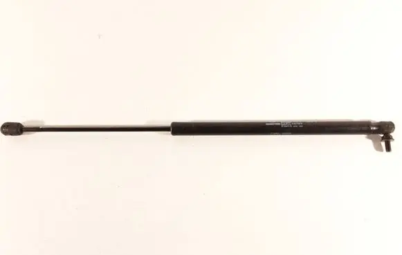 Tailgate/trunk strut/damper