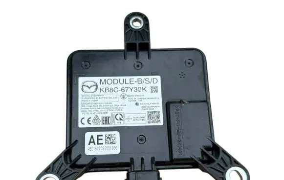 Blind spot module