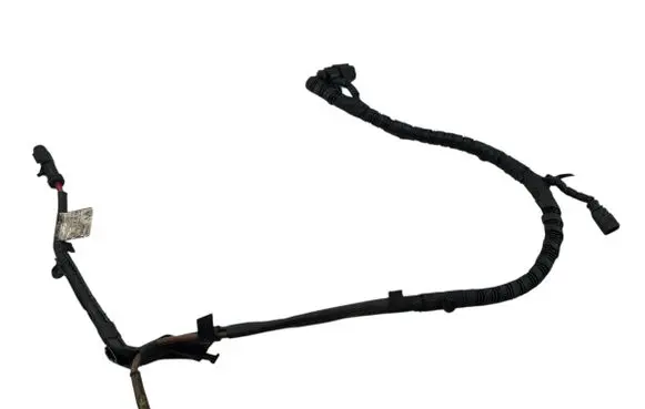 Other wiring loom