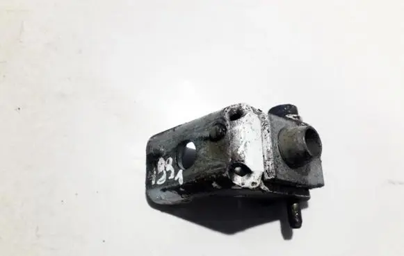 Peugeot 206 Rear door lower hinge