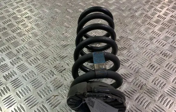 Ford Mustang VI Rear coil spring