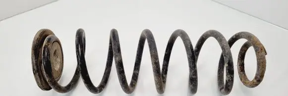Volkswagen Jetta V Rear coil spring