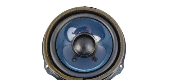 Ford Escape III Rear door speaker F1ET18808 F1ET18808FA EJ7PB