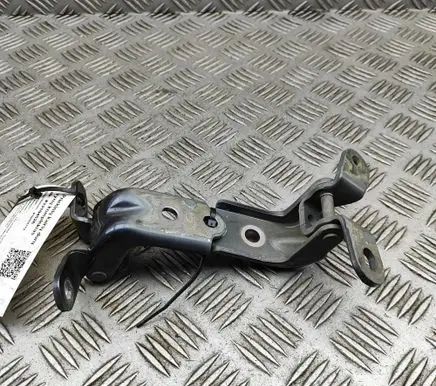 Hyundai Tucson TL Front door hinges set 793102E000