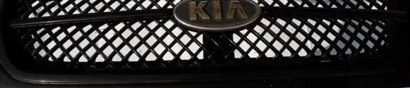 Front grill